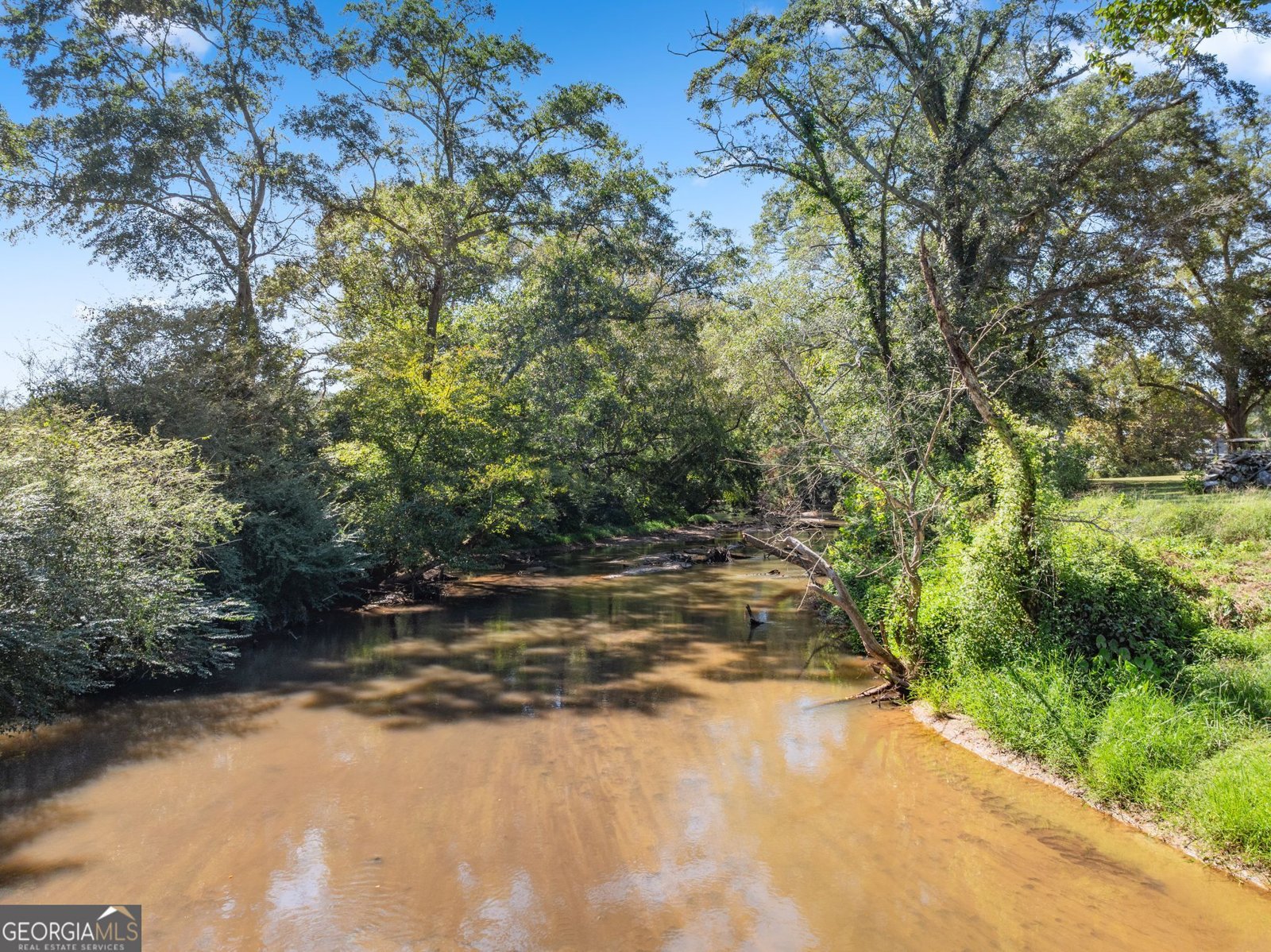 286 Middle Fork Lane Carnesville - Photo 44