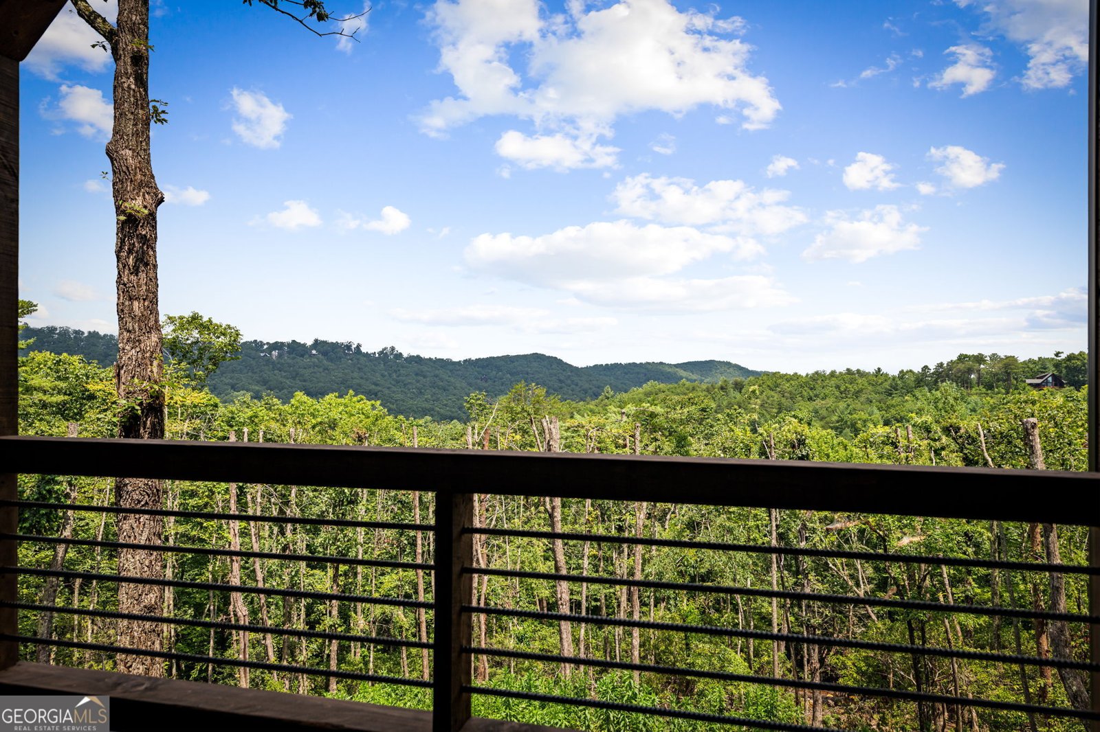 363 Griffith Parkway Blue Ridge - Photo 49