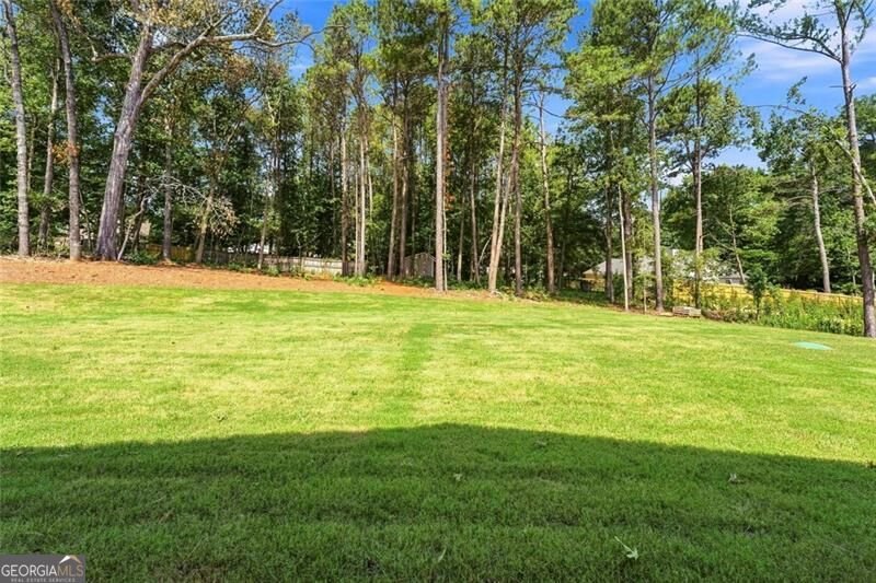 2895 Briscoe Road Loganville - Photo 24