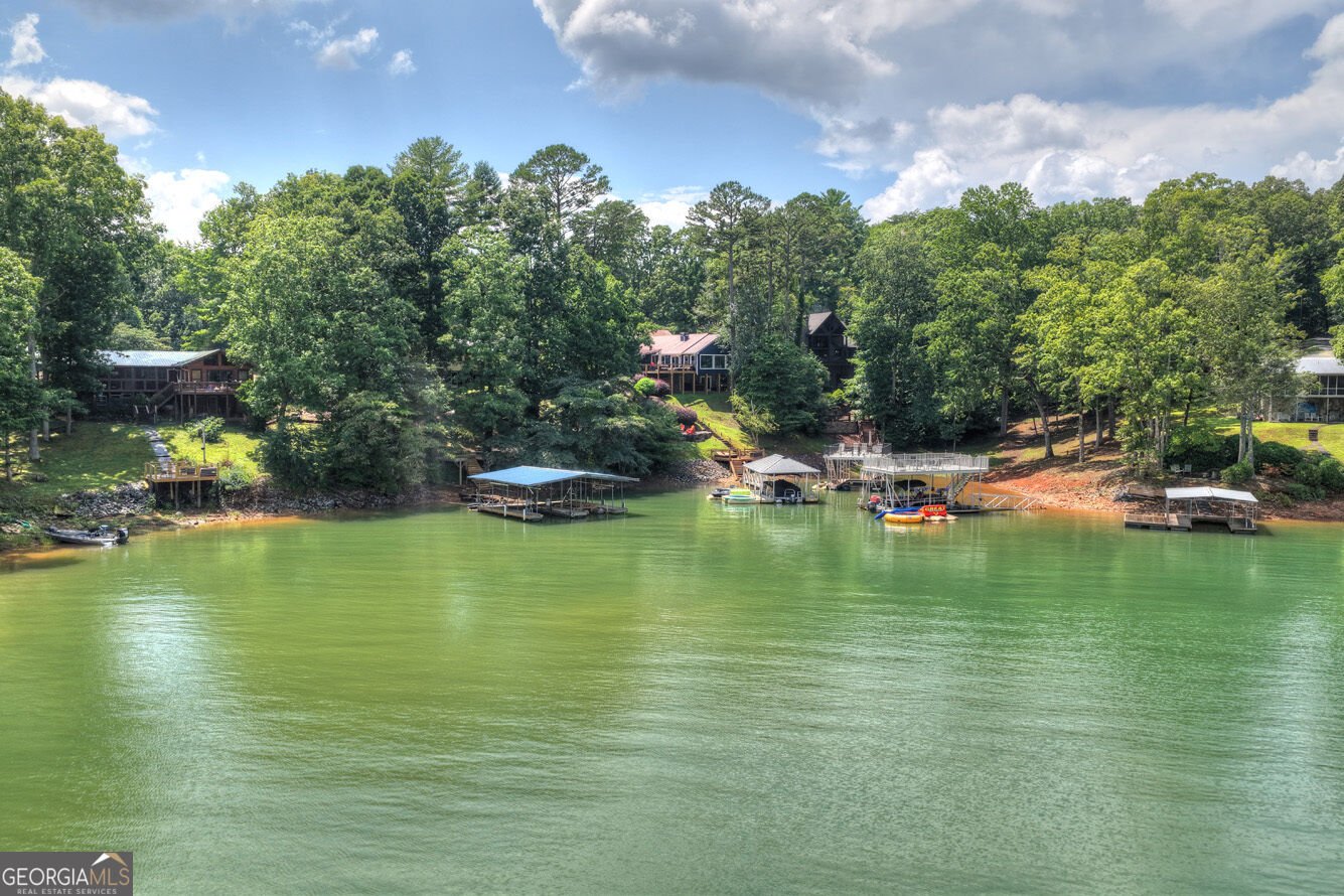 209 Marina Drive Blue Ridge - Photo 65