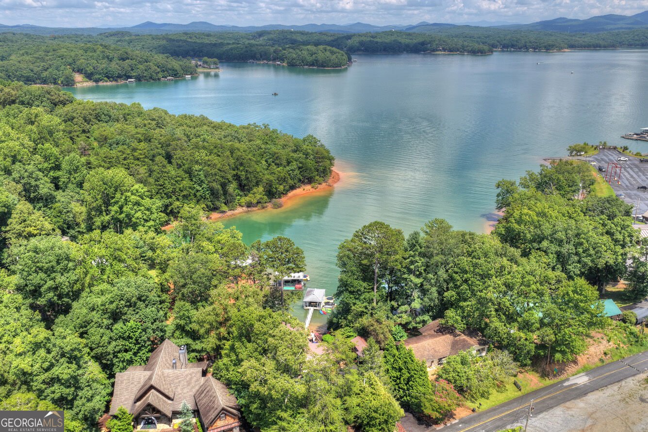 209 Marina Drive Blue Ridge - Photo 69