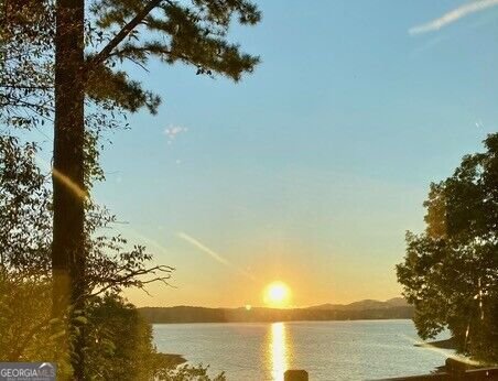 209 Marina Drive Blue Ridge - Photo 75