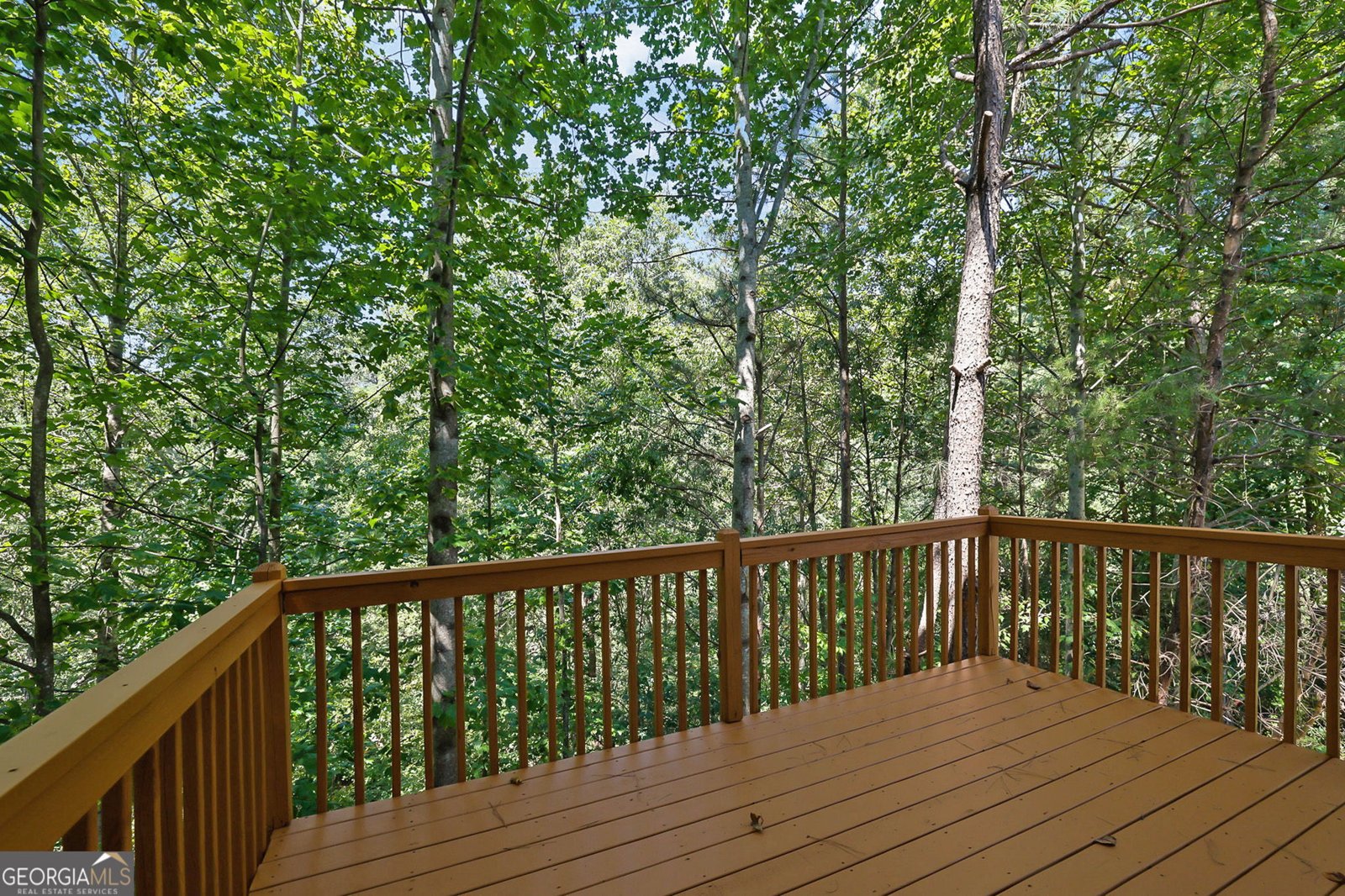 1081 Whispering Woods Drive Canton - Photo 11