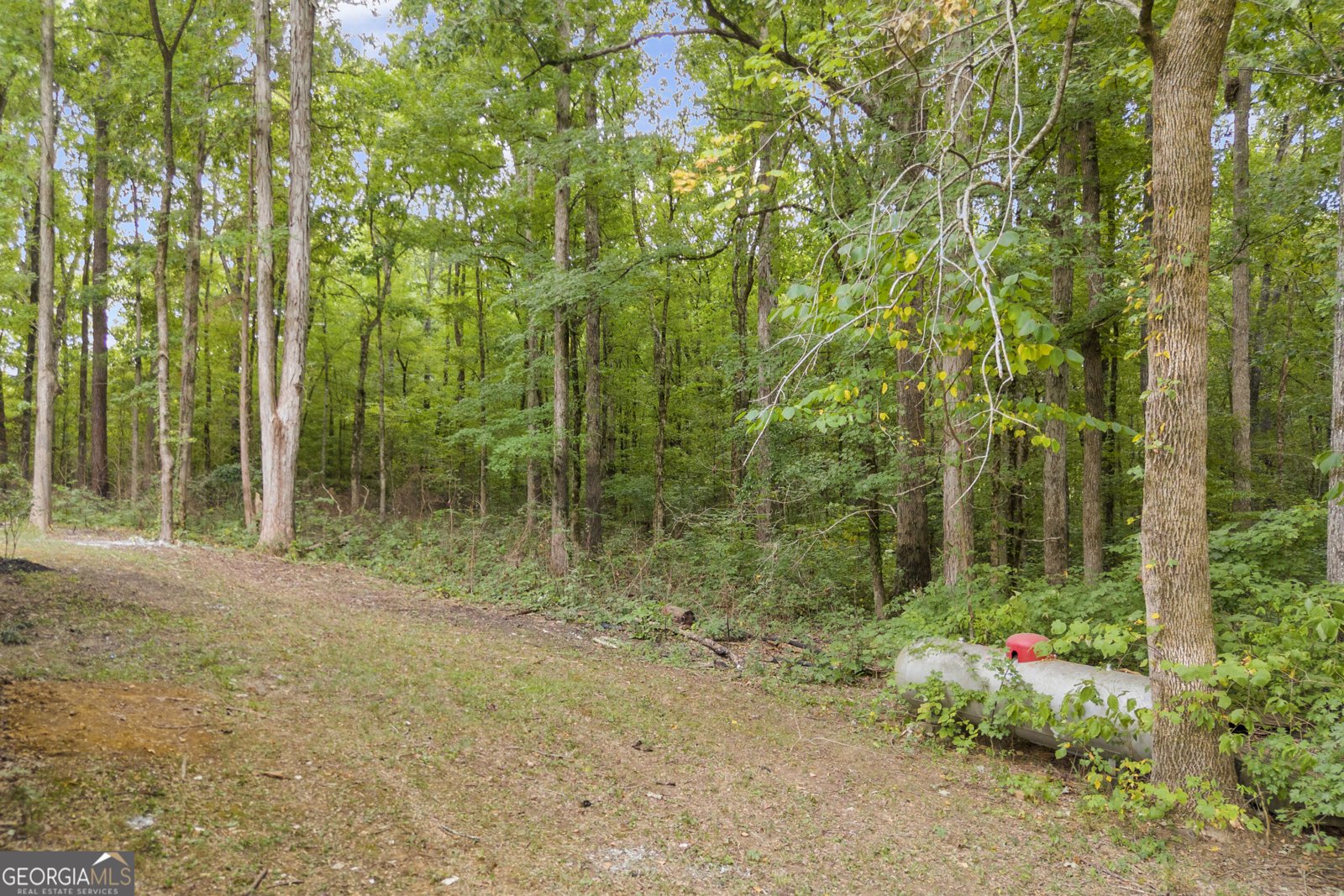 1381 Lincolnton Highway Elberton - Photo 46