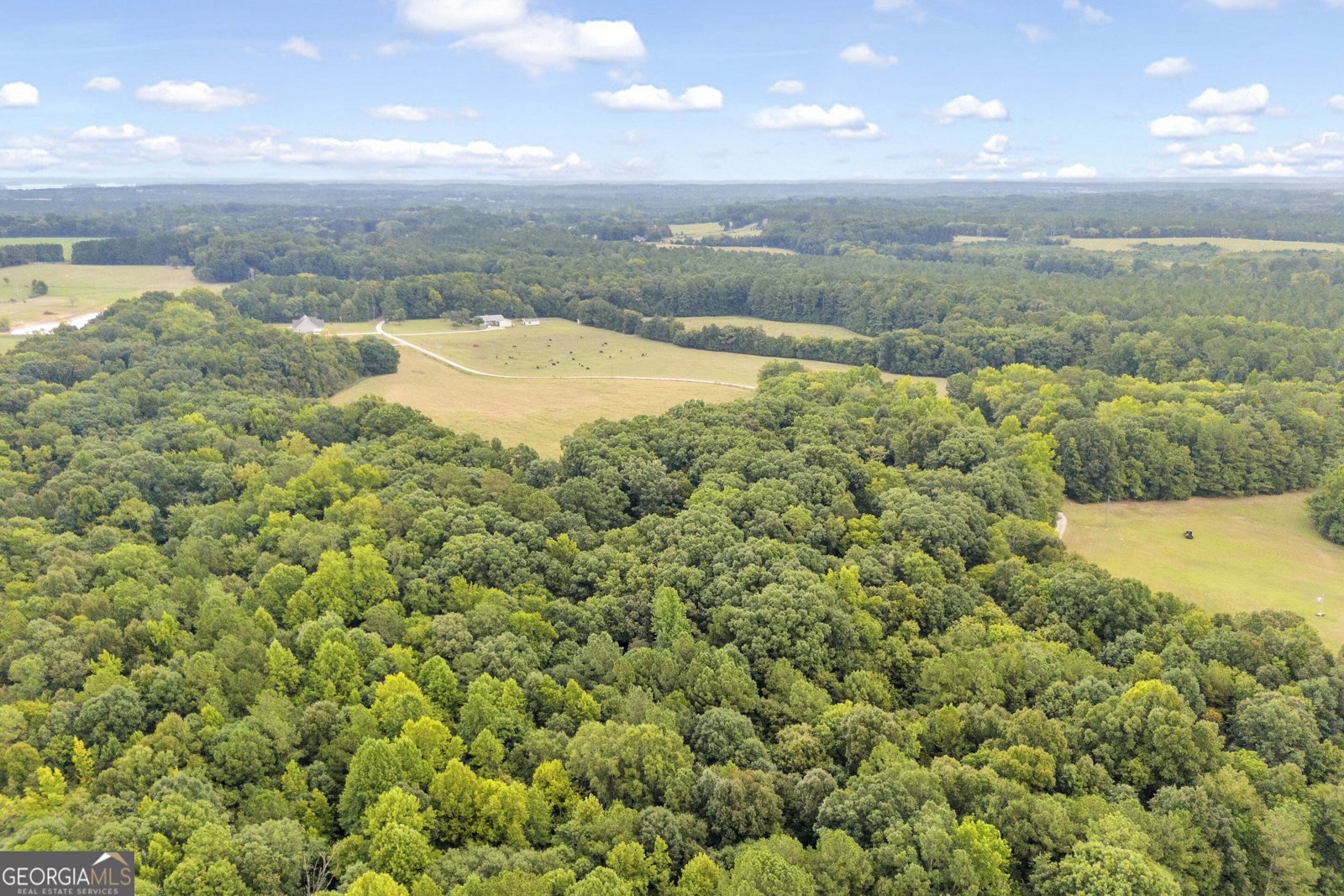 1381 Lincolnton Highway Elberton - Photo 51