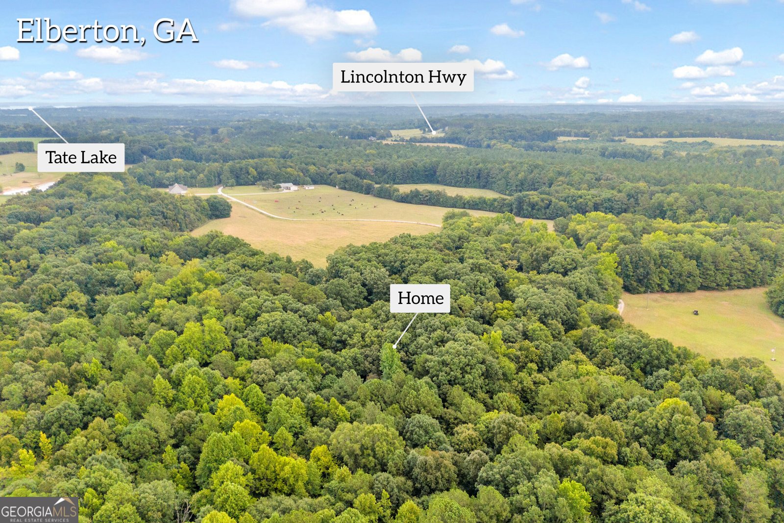 1381 Lincolnton Highway Elberton - Photo 53