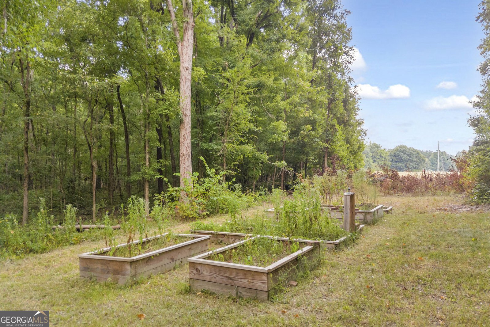 1381 Lincolnton Highway Elberton - Photo 62