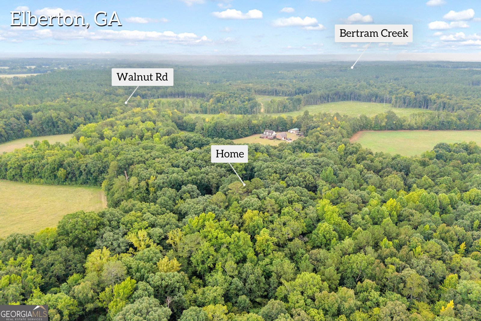 1381 Lincolnton Highway Elberton - Photo 65