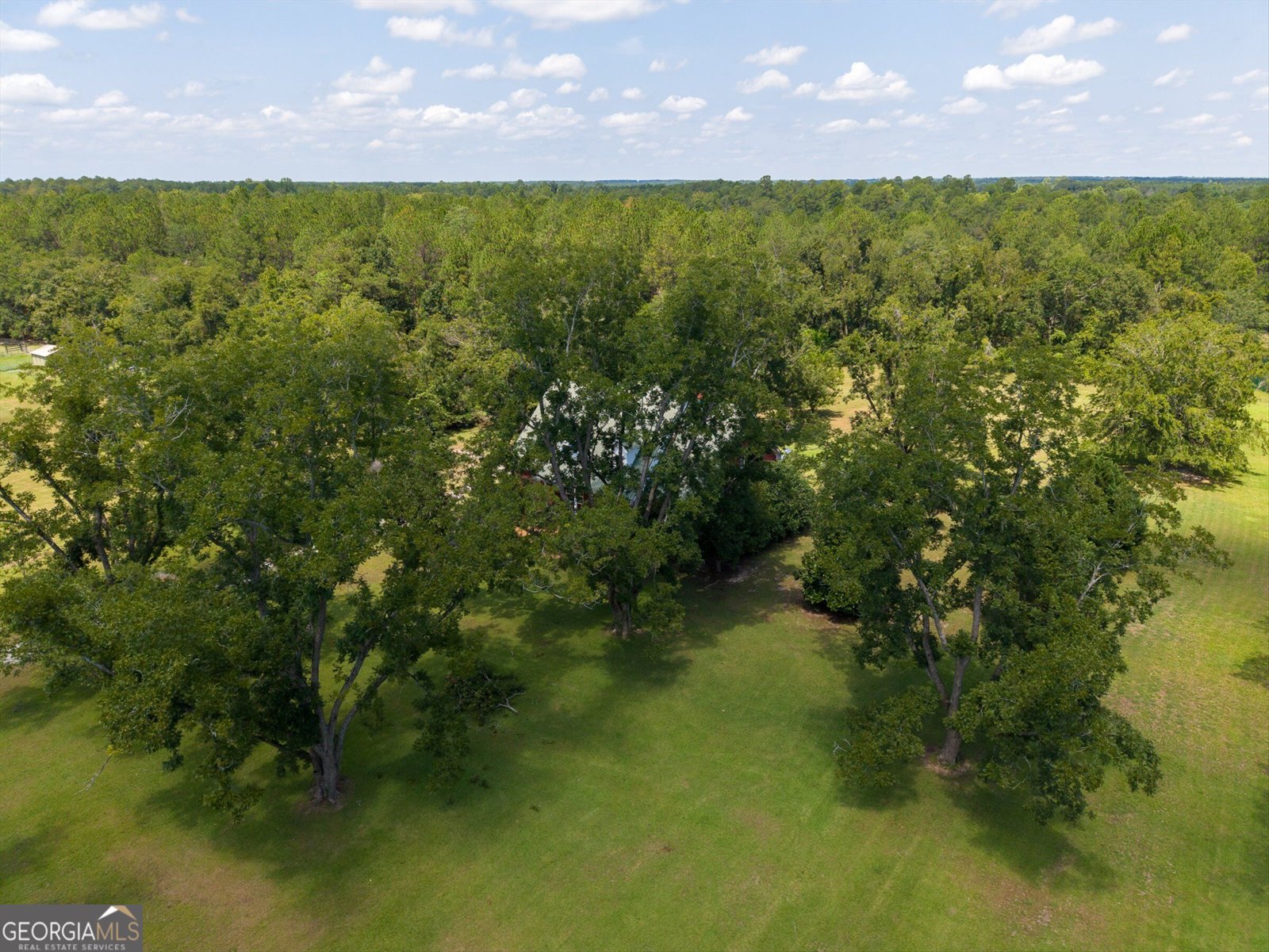 321 Old Hardy Place Road Statesboro - Photo 74