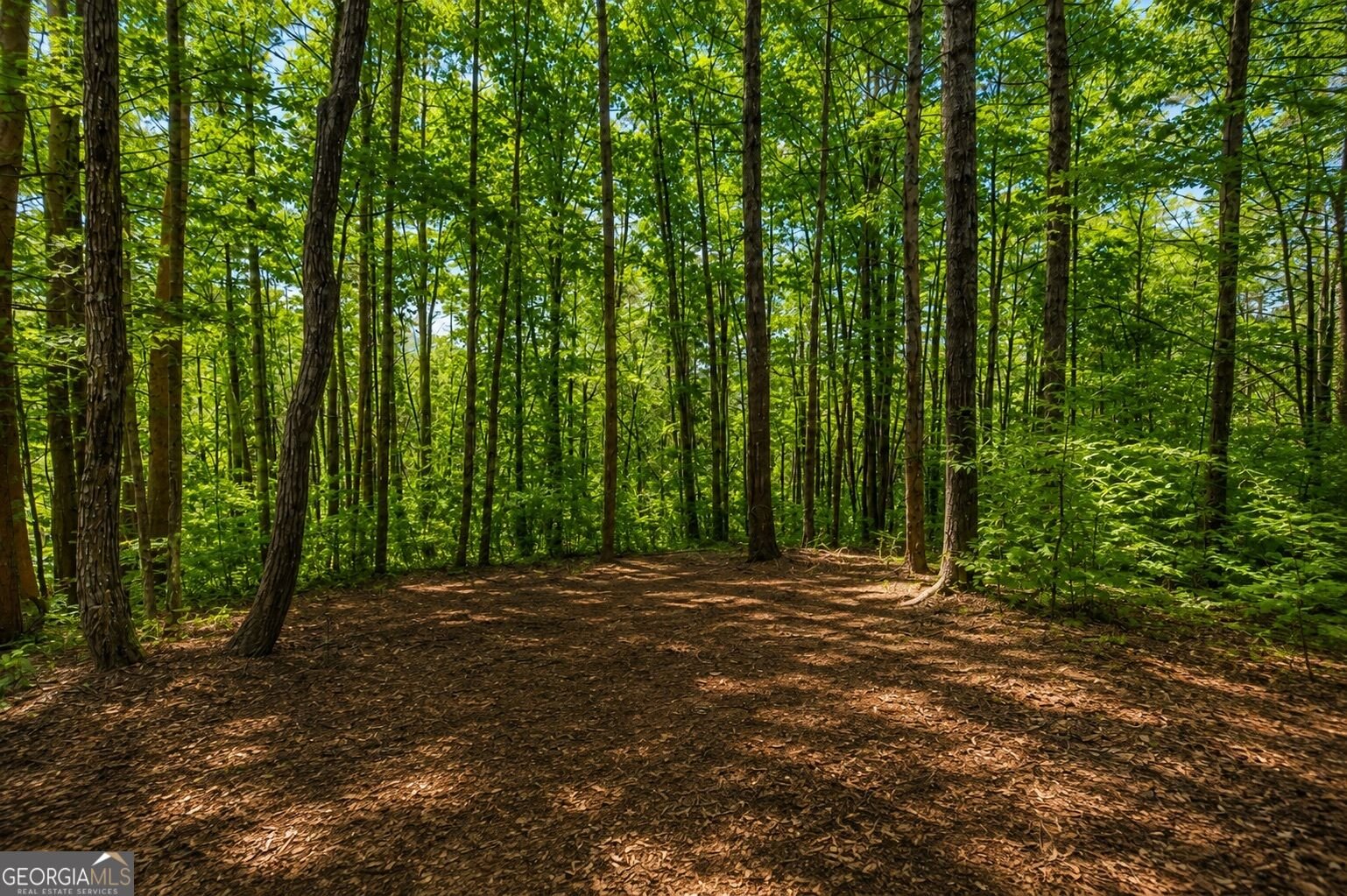 11296 Old Ccc Camp Road Chatsworth - Photo 32