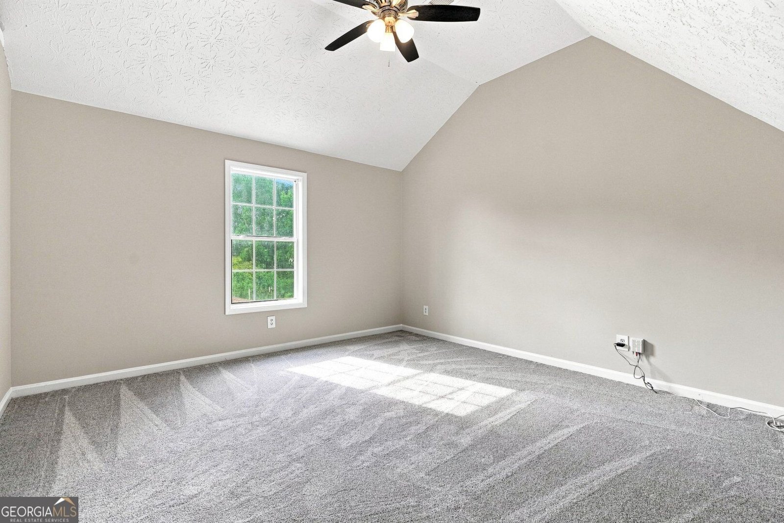 304 Waterfront Drive Mcdonough - Photo 10