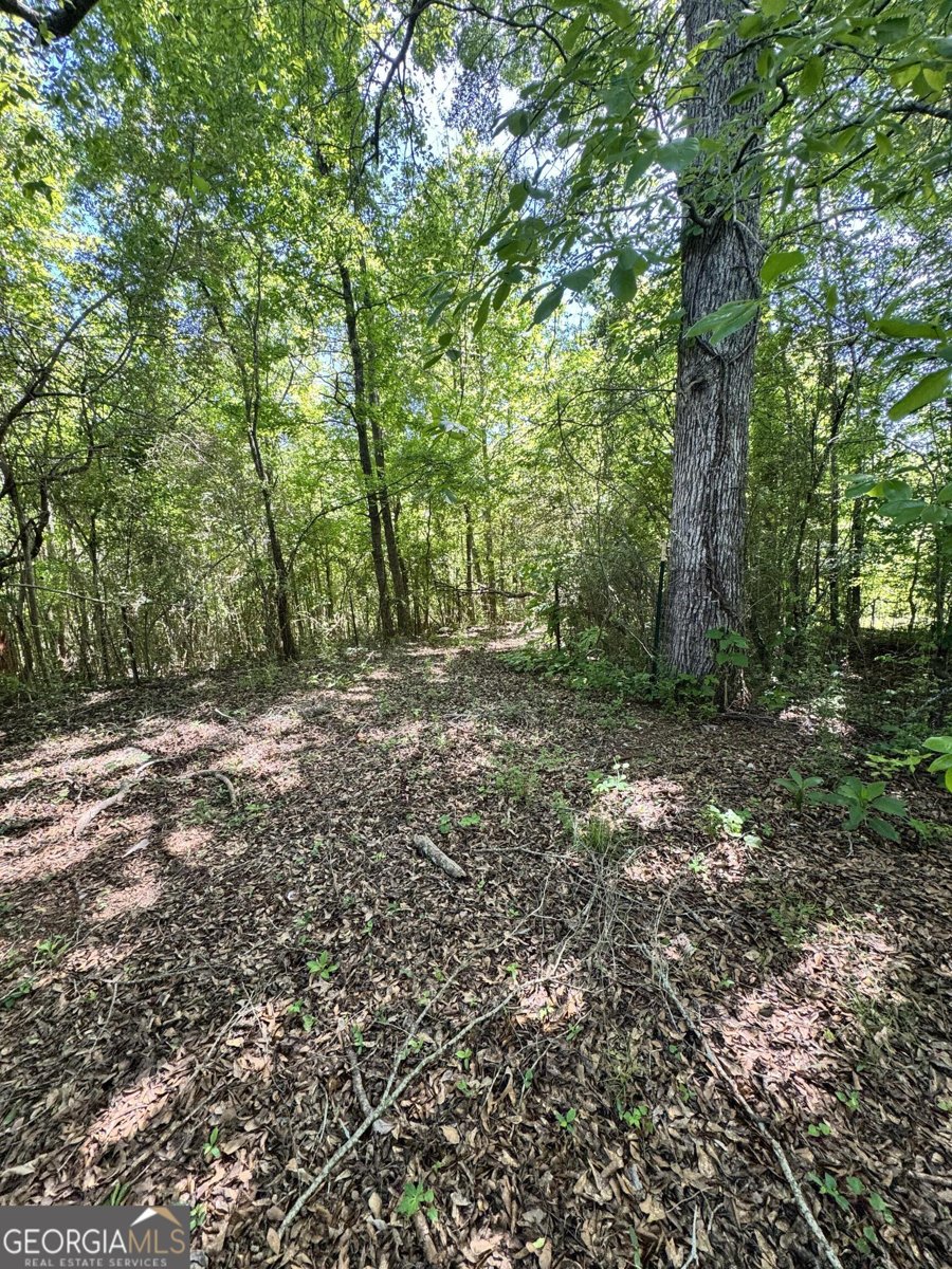 477 Knight Road Rockmart - Photo 16