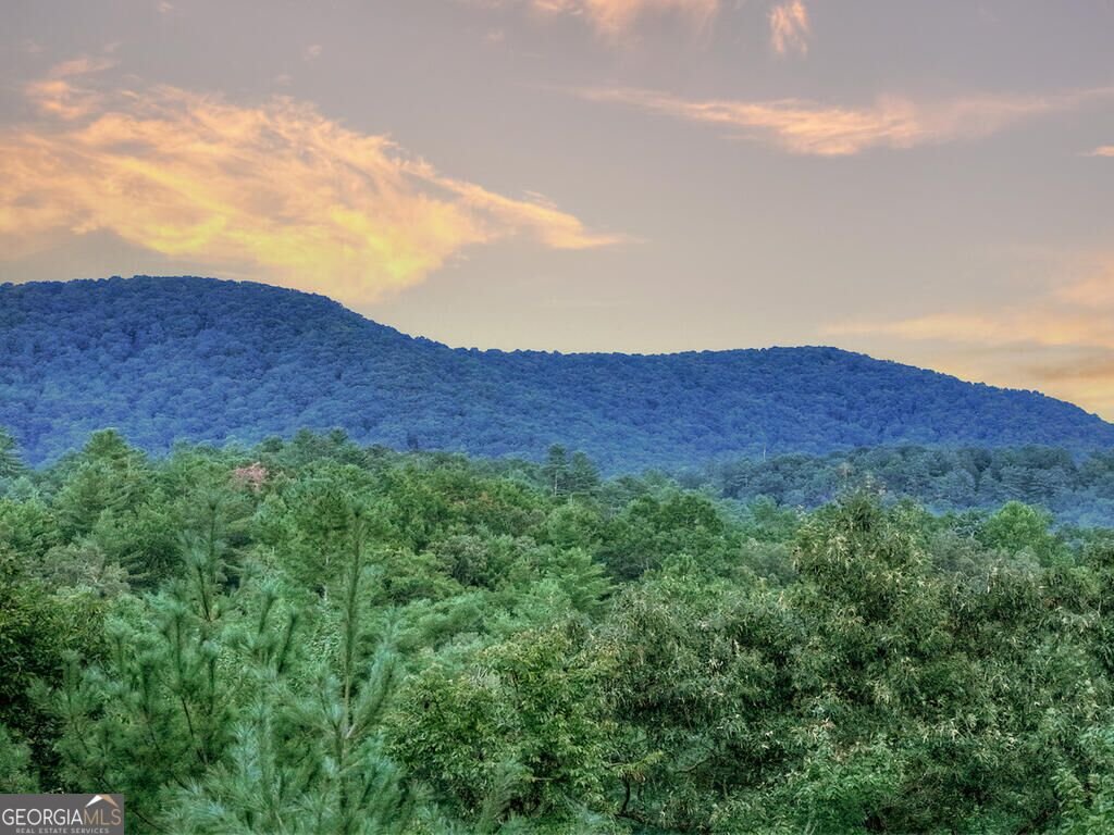 149 Watersong Bluff Ellijay - Photo 25