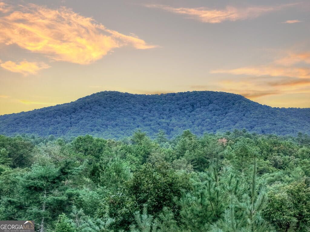 149 Watersong Bluff Ellijay - Photo 32