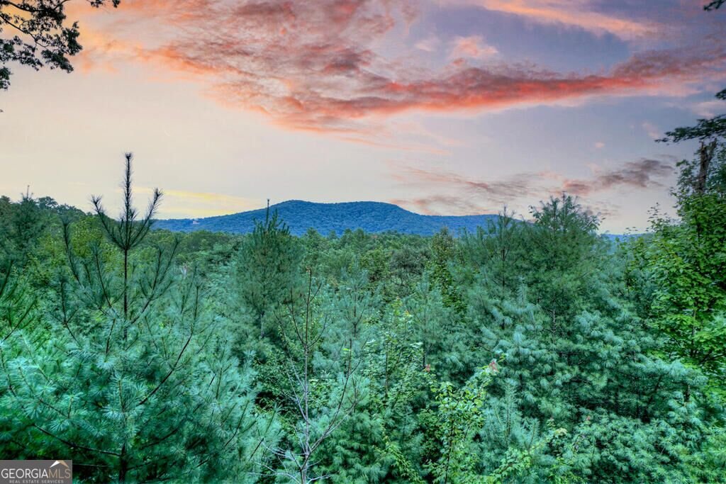 149 Watersong Bluff Ellijay - Photo 49