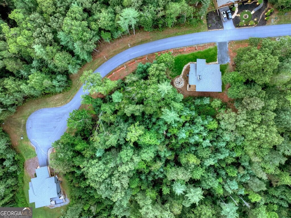149 Watersong Bluff Ellijay - Photo 68