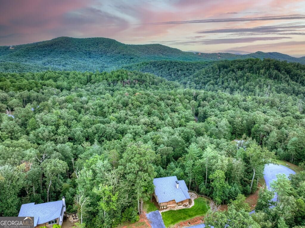 149 Watersong Bluff Ellijay - Photo 69