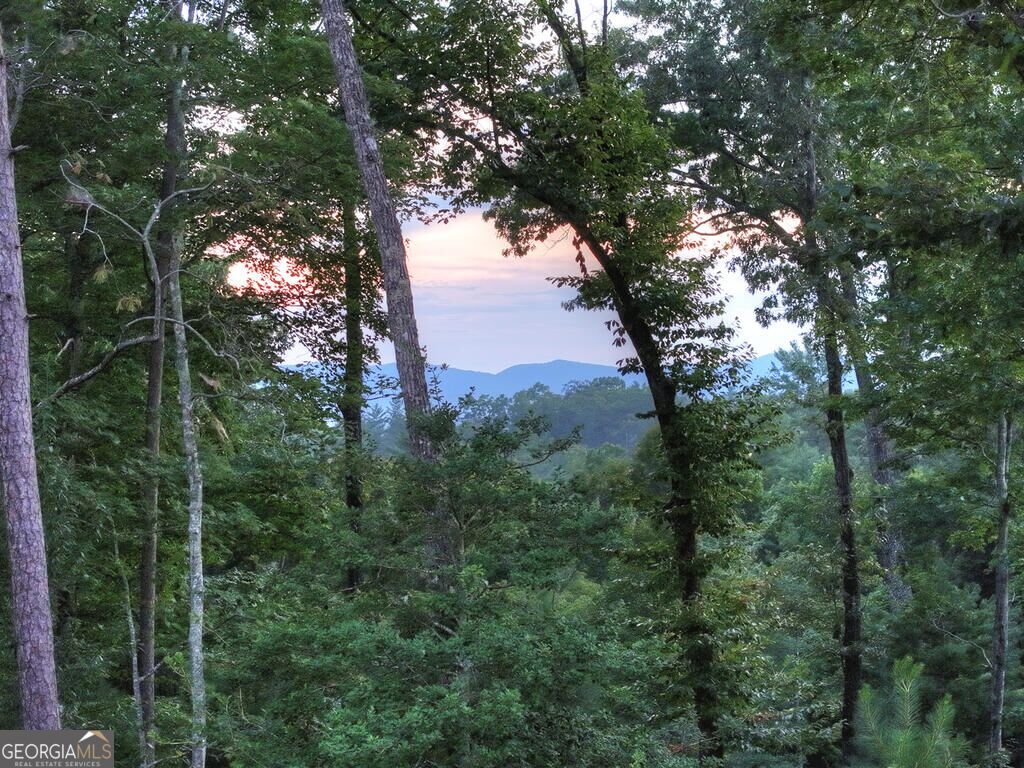 149 Watersong Bluff Ellijay - Photo 78