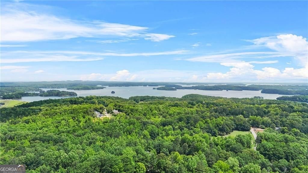 1038 Island View Court Buford - Photo 9