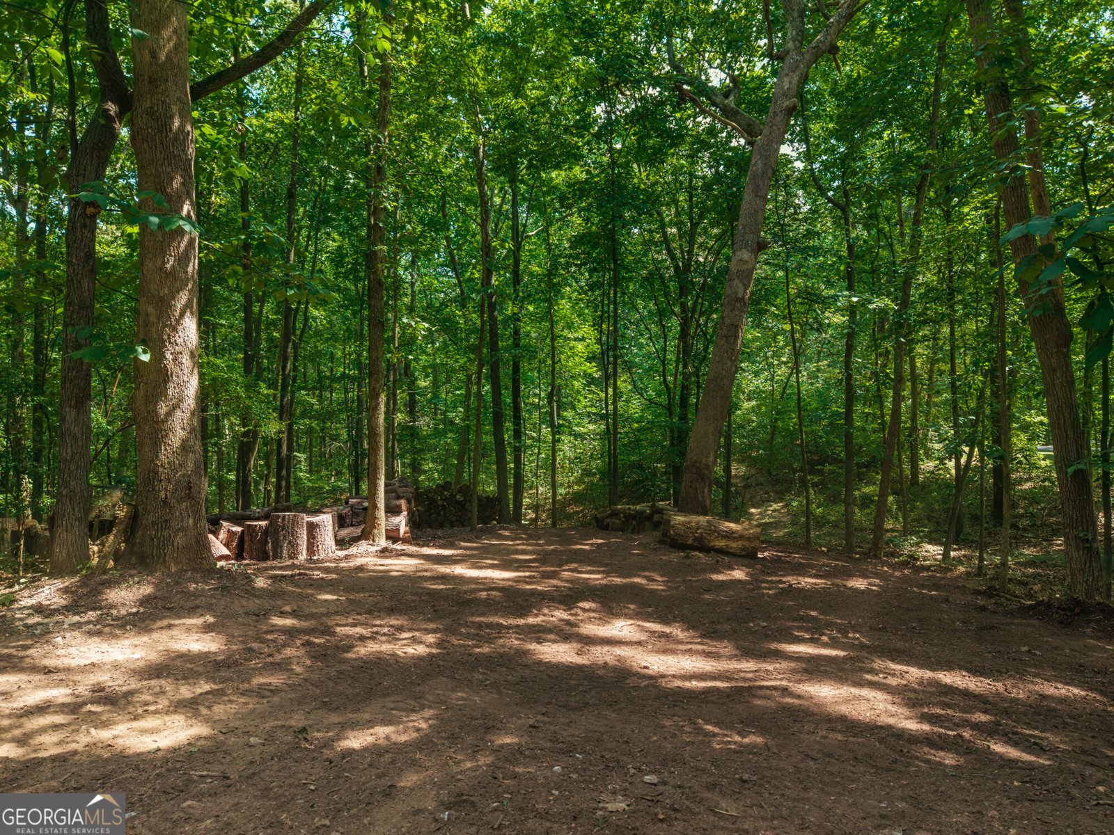 575 Bessie Lane Jasper - Photo 51