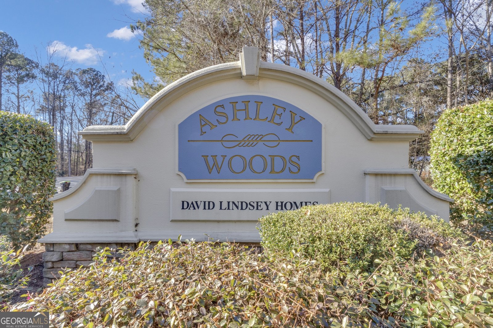45 Ashley Woods Drive Newnan - Photo 46