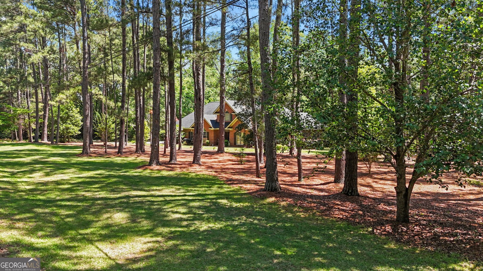 1133 Creekside Drive Eastman - Photo 11