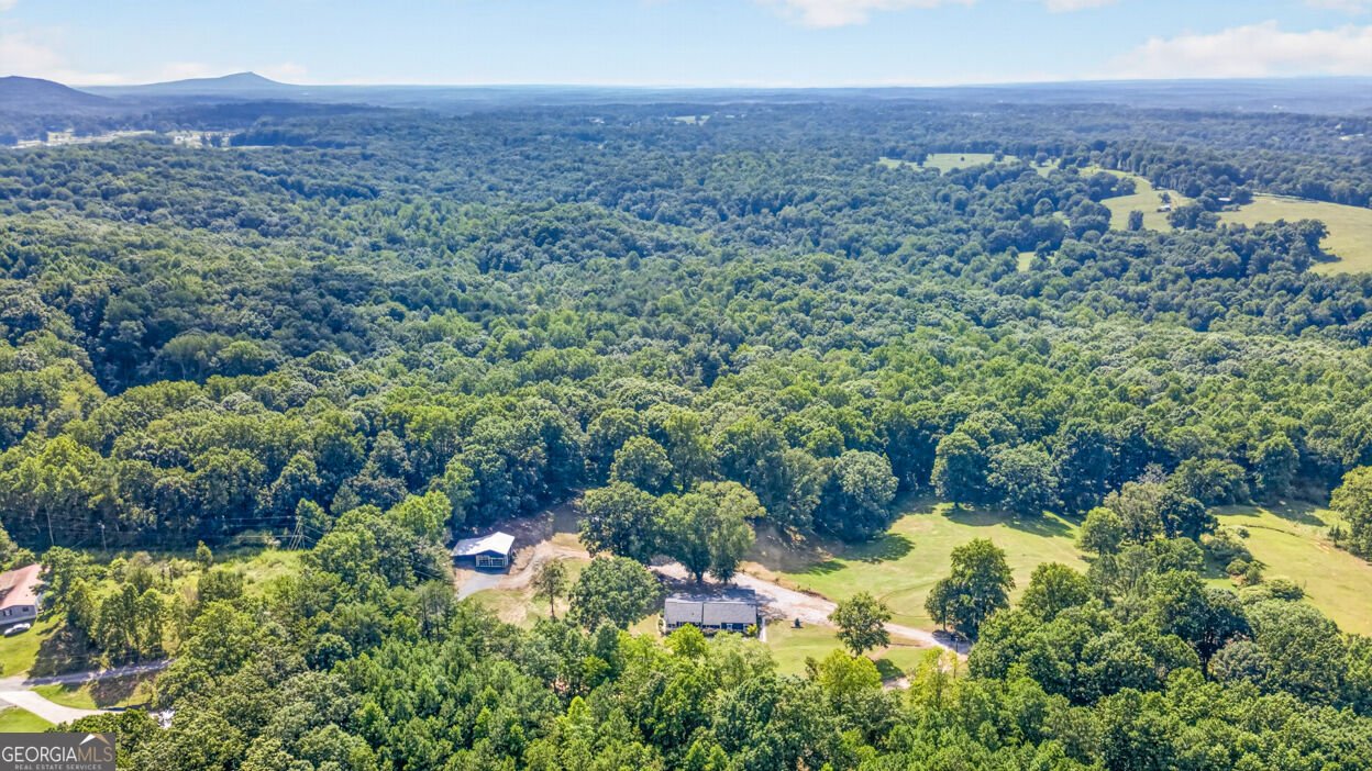 7375 BEAR MOUNTAIN Road Dawsonville - Photo 57