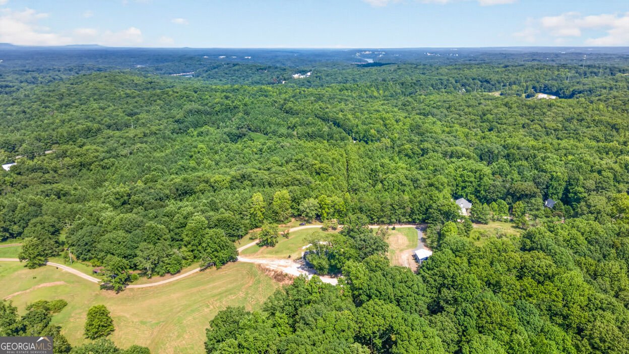 7375 BEAR MOUNTAIN Road Dawsonville - Photo 58