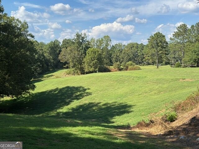 7375 BEAR MOUNTAIN Road Dawsonville - Photo 65