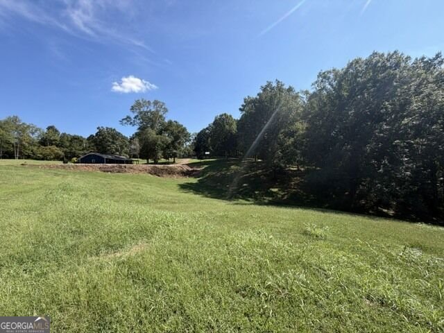 7375 BEAR MOUNTAIN Road Dawsonville - Photo 66