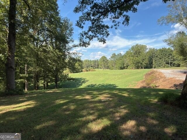 7375 BEAR MOUNTAIN Road Dawsonville - Photo 67