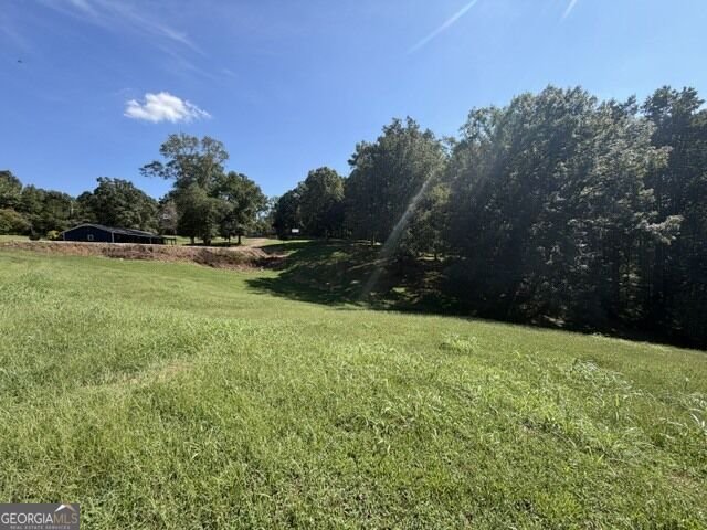 7375 BEAR MOUNTAIN Road Dawsonville - Photo 68