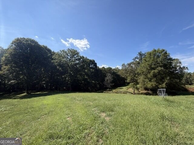 7375 BEAR MOUNTAIN Road Dawsonville - Photo 69