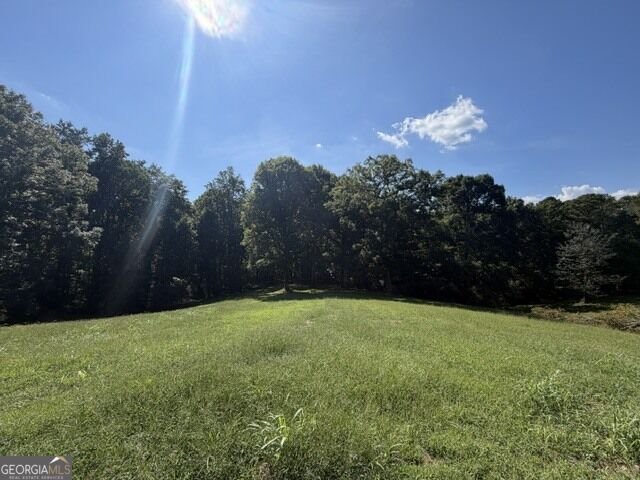 7375 BEAR MOUNTAIN Road Dawsonville - Photo 70
