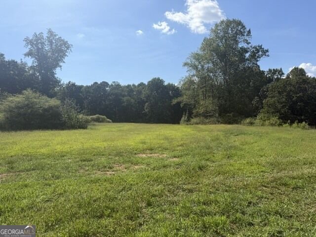 7375 BEAR MOUNTAIN Road Dawsonville - Photo 71