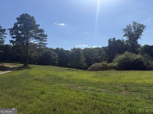 7375 BEAR MOUNTAIN Road Dawsonville - Photo 72