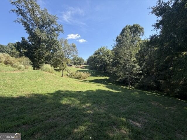 7375 BEAR MOUNTAIN Road Dawsonville - Photo 74