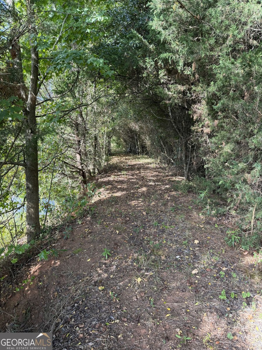 948 Parham Town Road Bowman - Photo 29