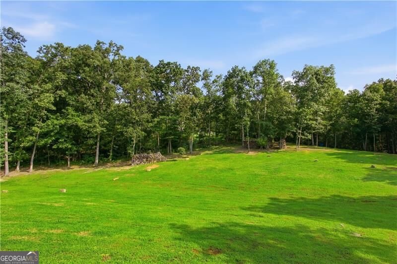 1281 Turkey Mountain Road Rome - Photo 8