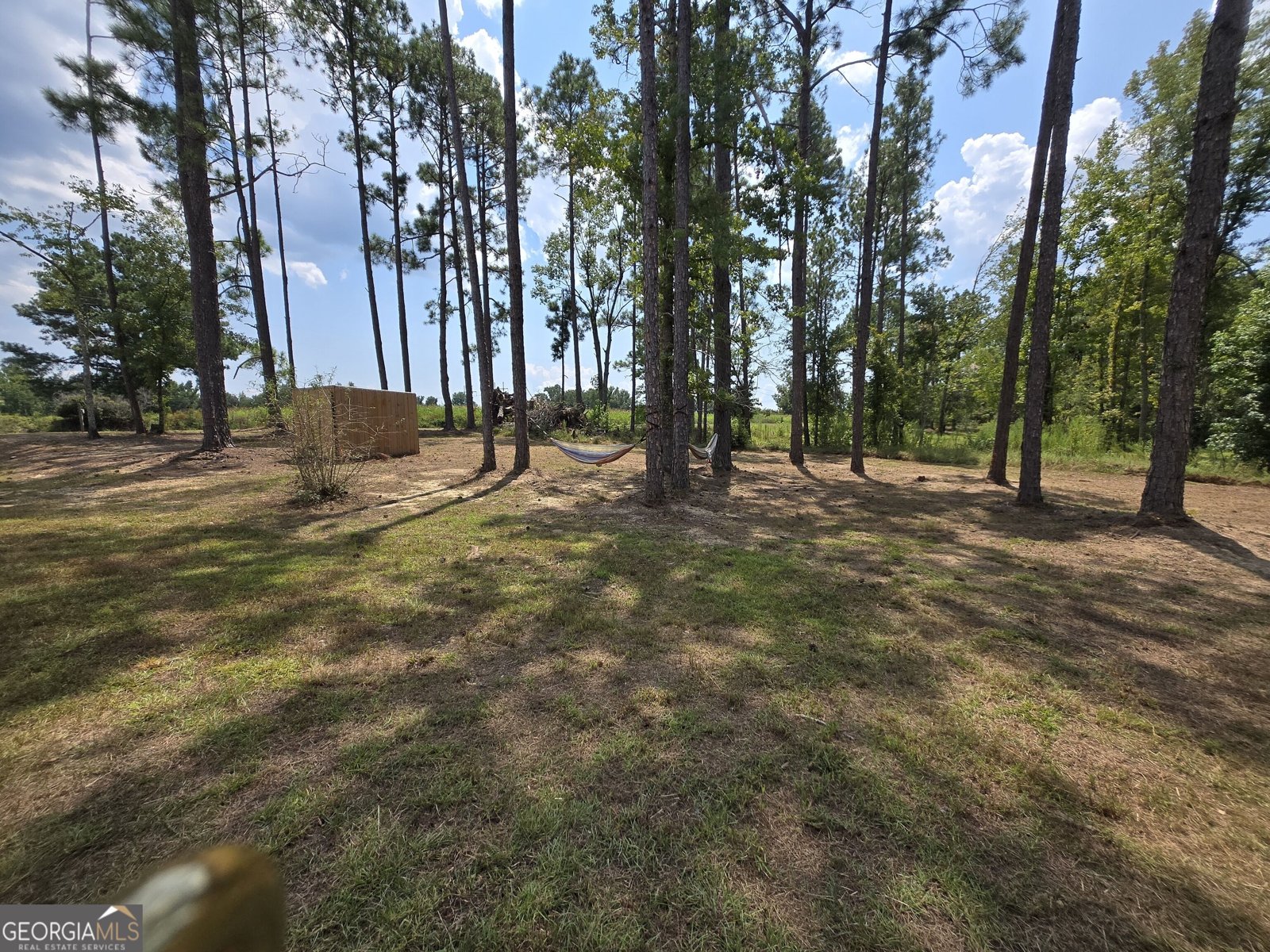 290 Kemp Road Swainsboro - Photo 100