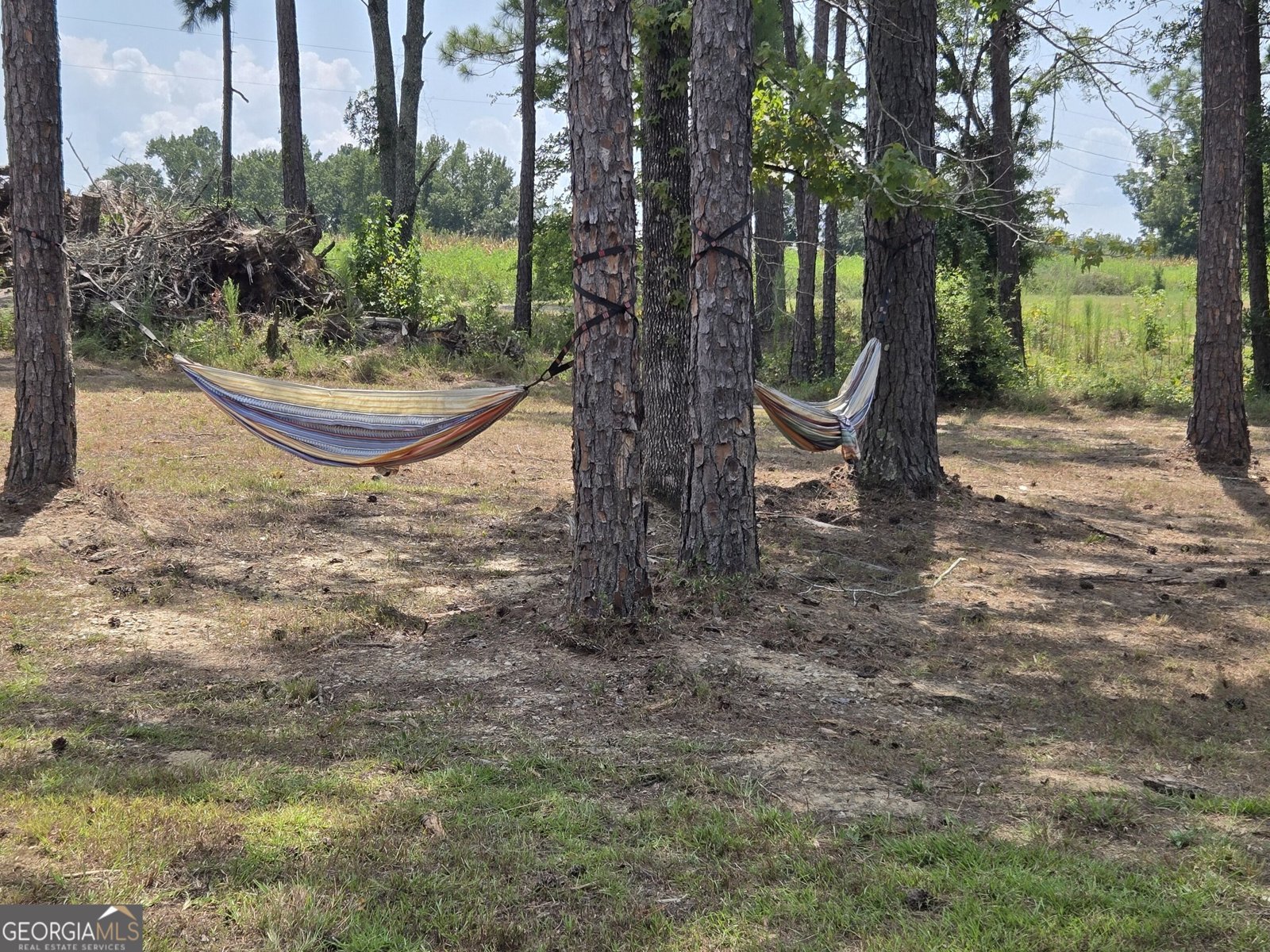 290 Kemp Road Swainsboro - Photo 101
