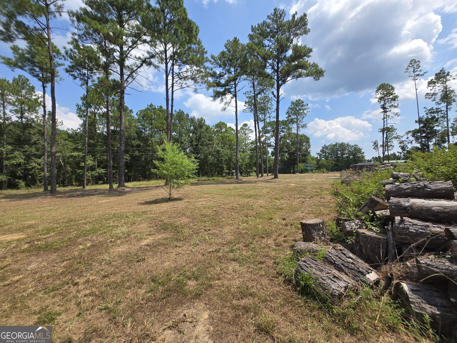 290 Kemp Road Swainsboro - Photo 73