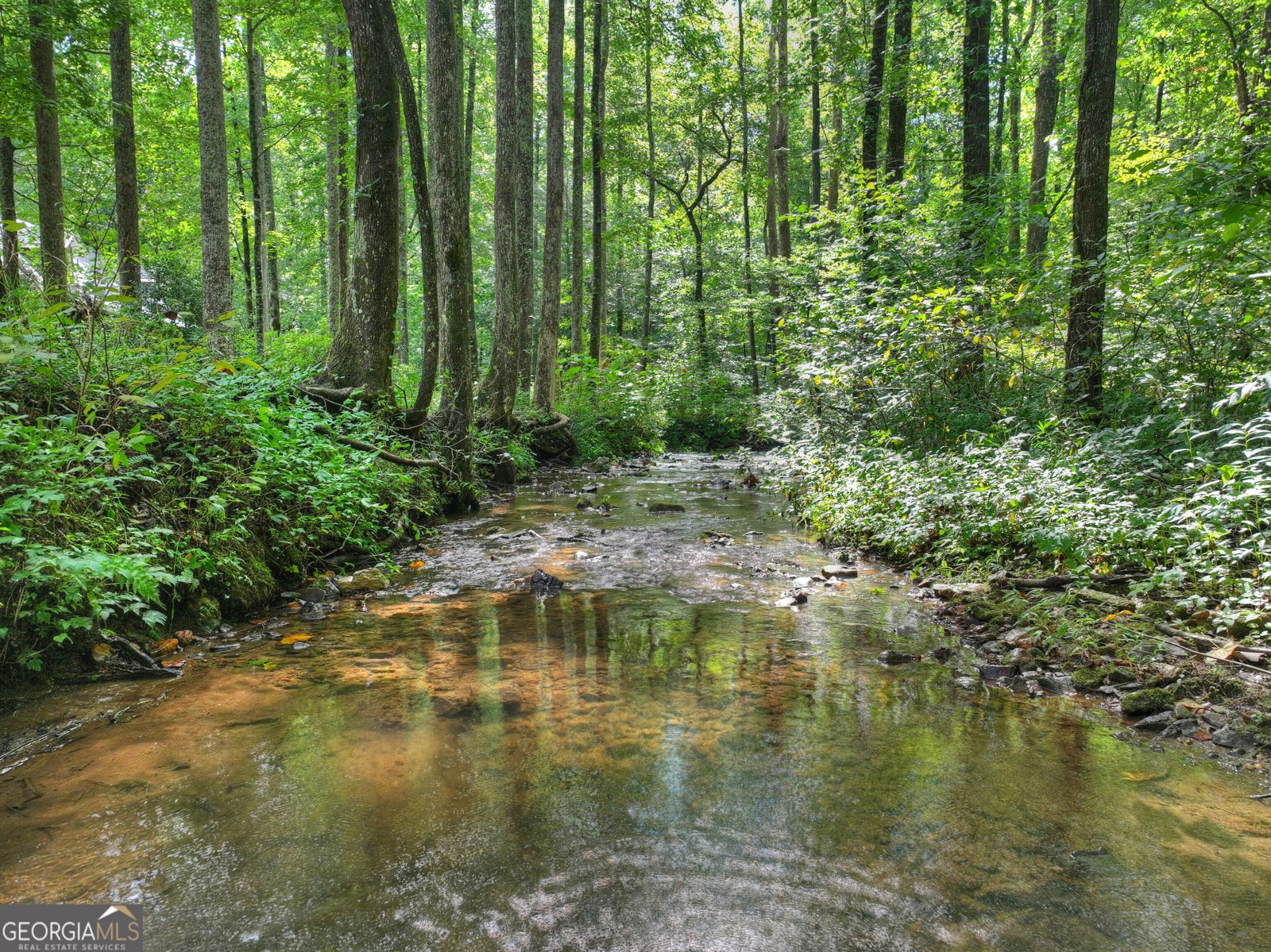 606 Johntown Road Ellijay - Photo 10