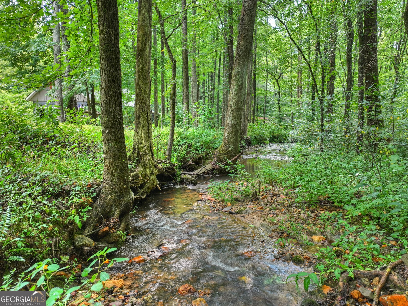 606 Johntown Road Ellijay - Photo 100