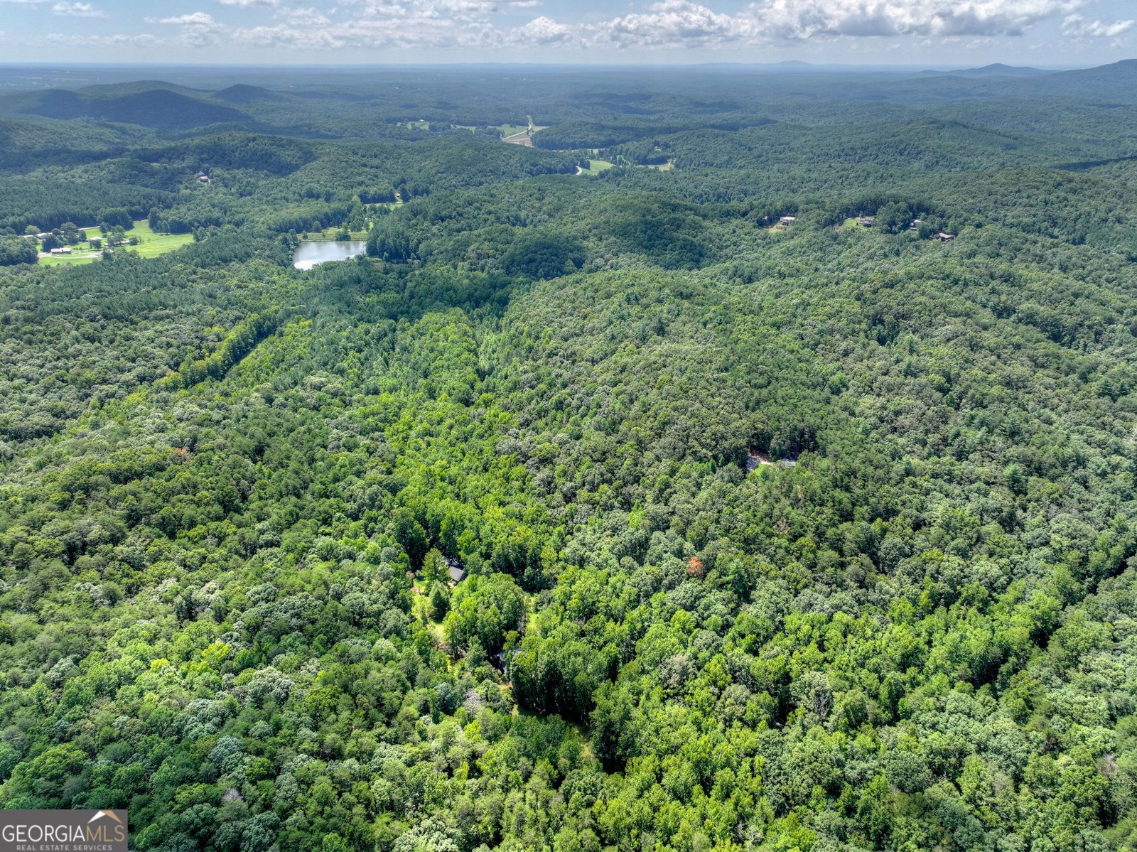 606 Johntown Road Ellijay - Photo 106
