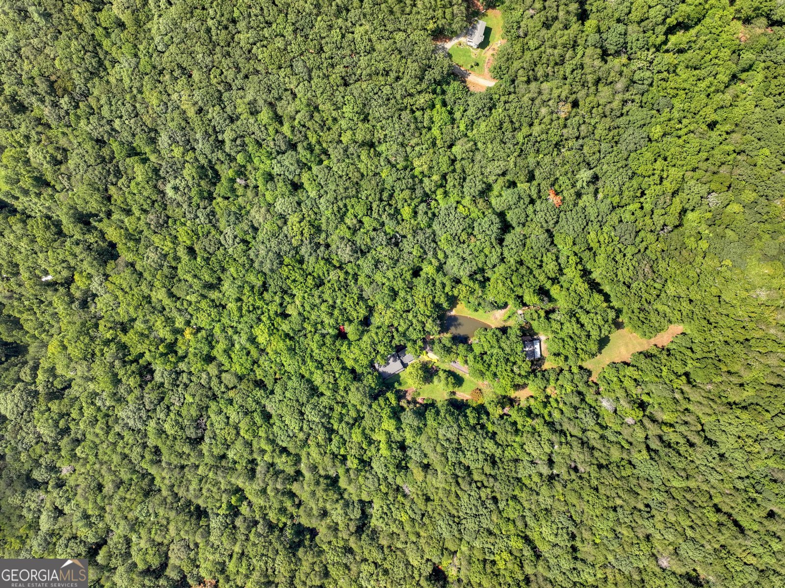 606 Johntown Road Ellijay - Photo 110