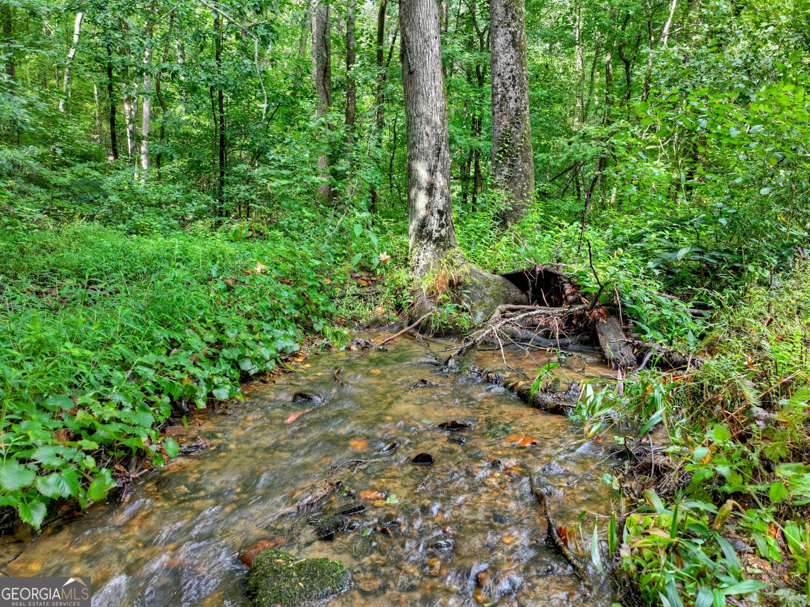 606 Johntown Road Ellijay - Photo 15