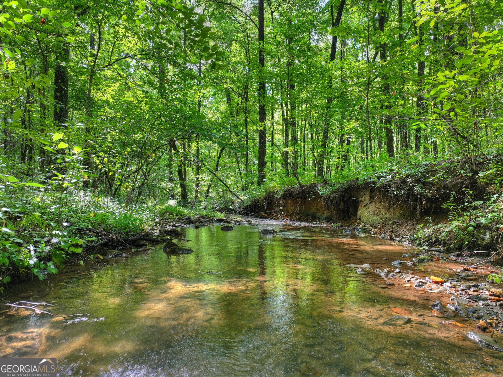 606 Johntown Road Ellijay - Photo 7