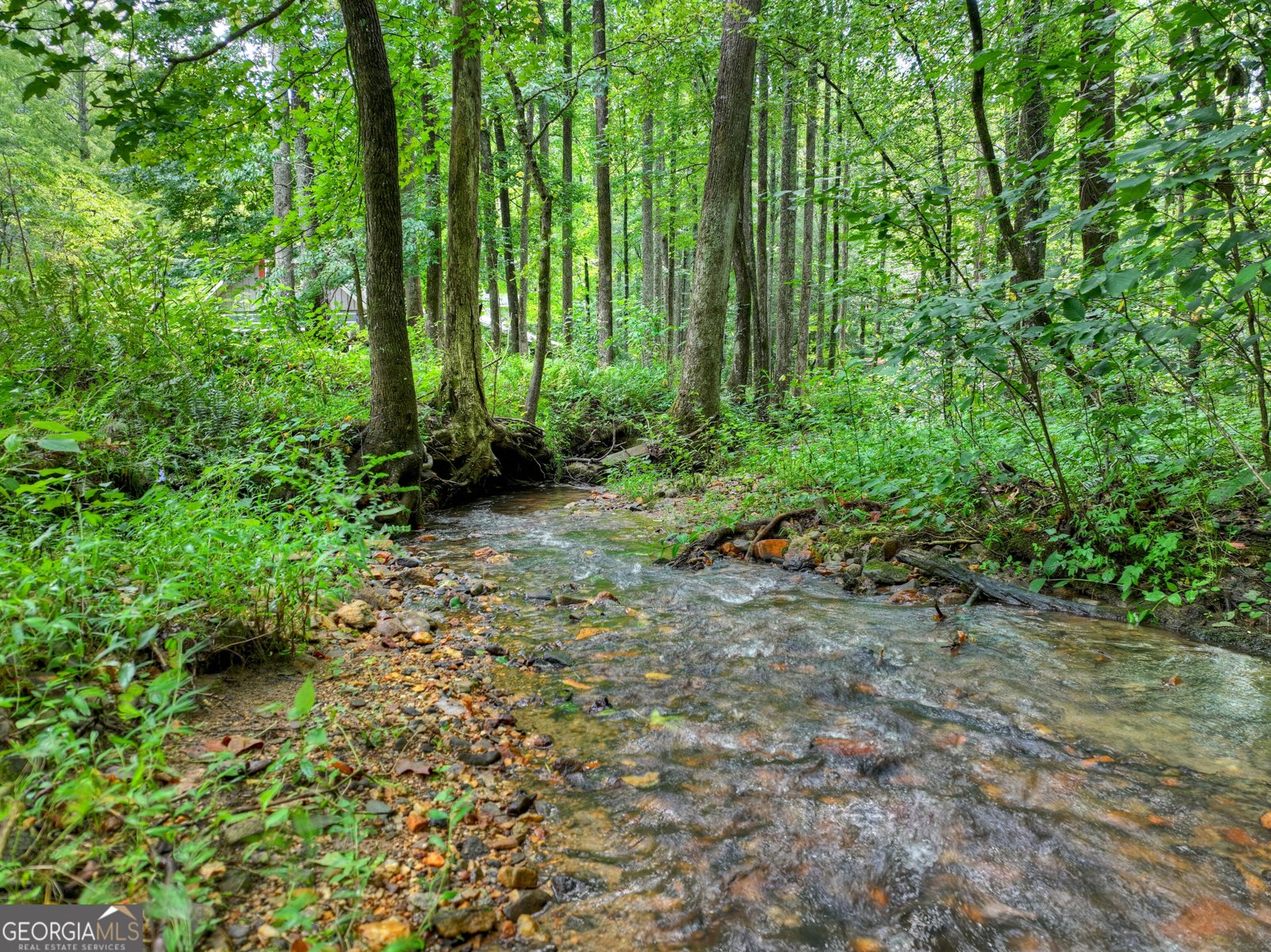 606 Johntown Road Ellijay - Photo 8
