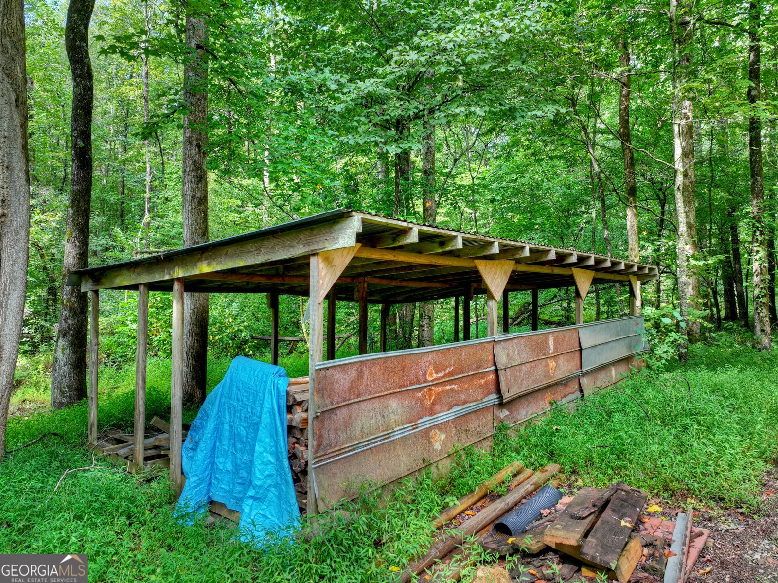 606 Johntown Road Ellijay - Photo 94